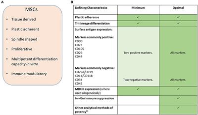 Position Statement: Minimal Criteria for Reporting Veterinary and Animal Medicine Research for Mesenchymal Stromal/Stem Cells in Orthopedic Applications